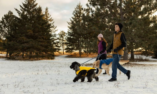 Walk, Win, Wag: Your Guide to the ororo Pup Walk Challenge