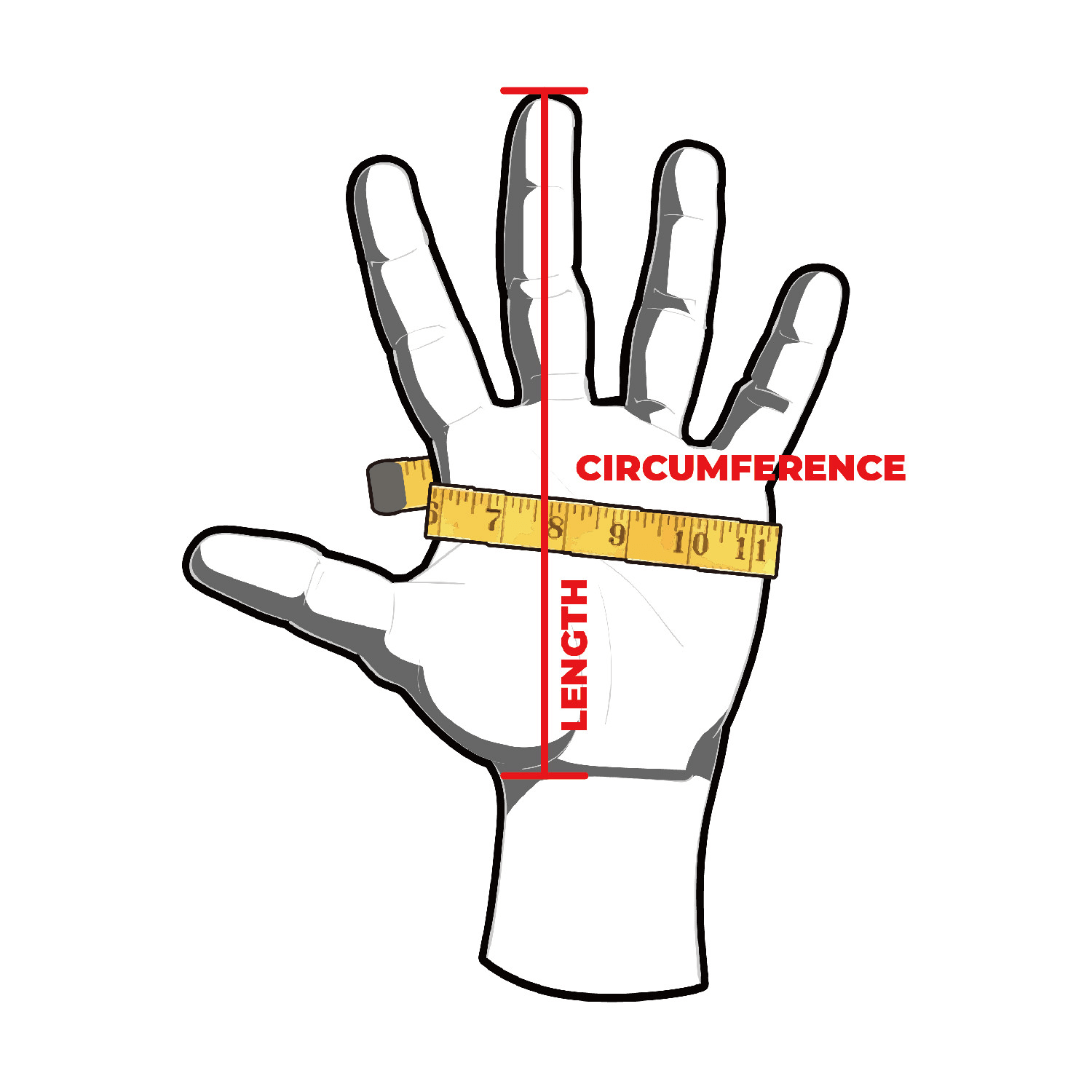 Gloves | How to Measure: Length, Circumference Gloves | How to Measure: Length, Circumference