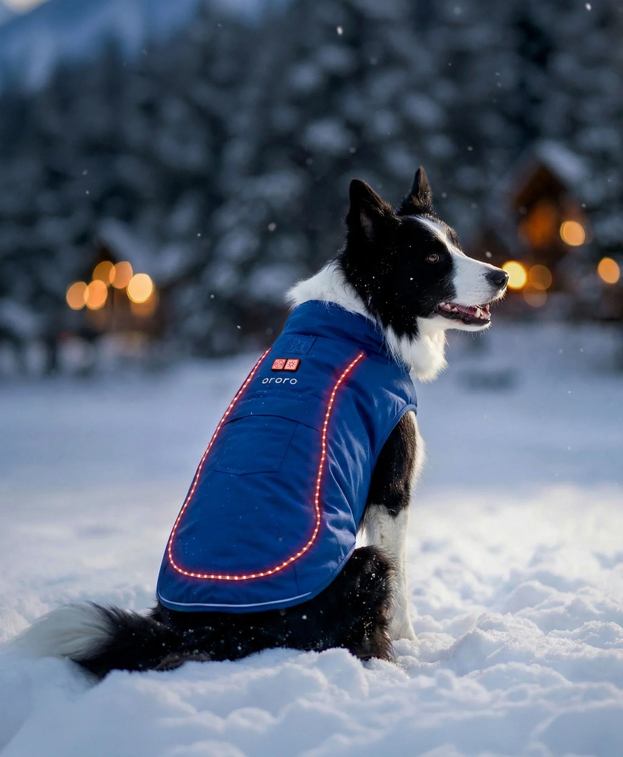 Veste chauffante 4 zones pour chien Koldpwoof avec lumières LED, Thumbnail 6